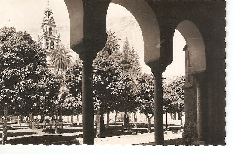 Postal 027504 : Mezquita-Catedral. Claustro del Pario de los Naranjos, Cordoba