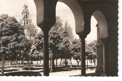 Postal 027504 : Mezquita-Catedral. Claustro del Pario de los Naranjos, Cordoba