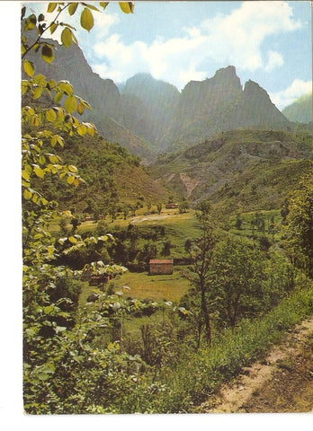 Postal 027525 : Picos de Europa, Valle de Valdeon, Rivera del rio Cares al fondo Torre Palanca