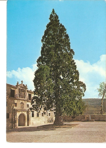 Postal 027528 : Abadia de Santo Domingo de Silos, fachada occidental y Secoya