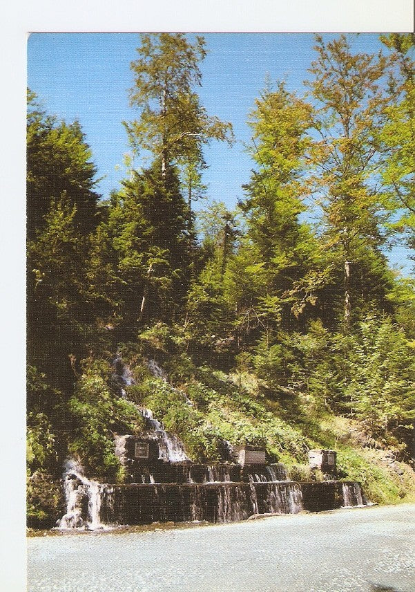 Postal 027544 : Artiga Lin, Font dels Gressillun. Pirineu Català (Vall dAran)