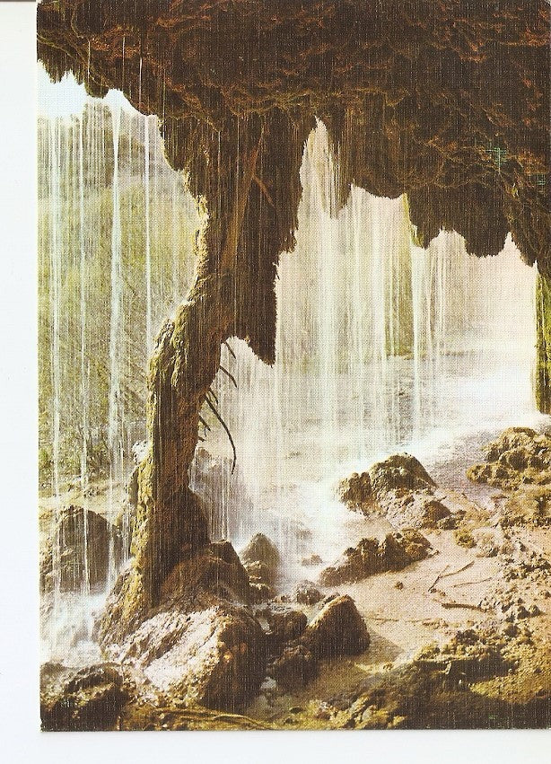 Postal 027546 : Nacimiento del Rio Cuervo y Pino Fosilizado (Columna de la Cueva). Cuenca