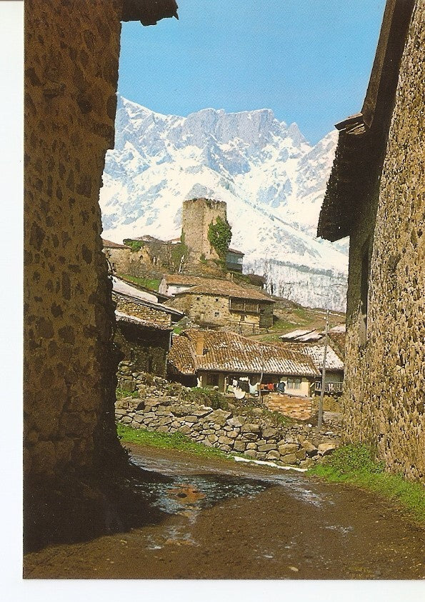 Postal 027549 : Picos de Europa, Torreon de Mogrovejo