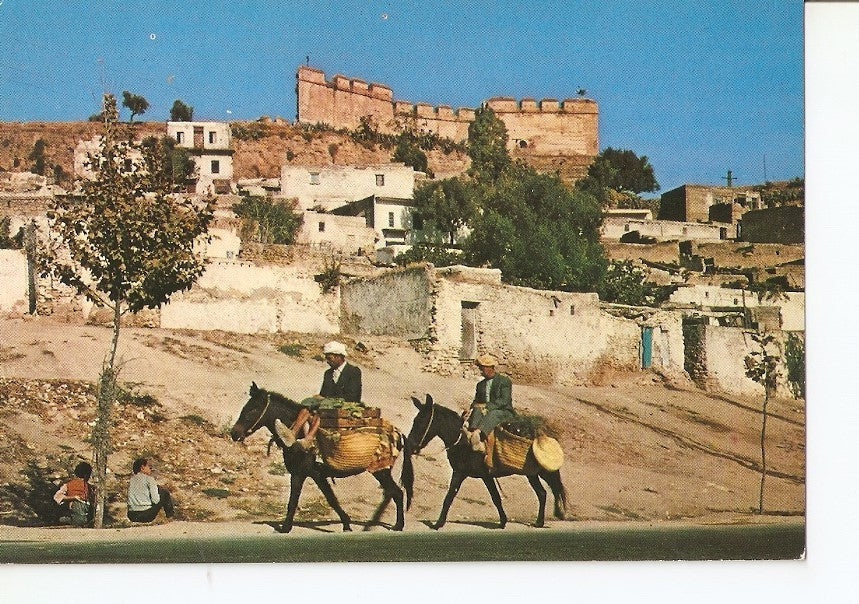 Postal 027563 : Fes, Les Merinides de Fes