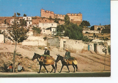 Postal 027563 : Fes, Les Merinides de Fes