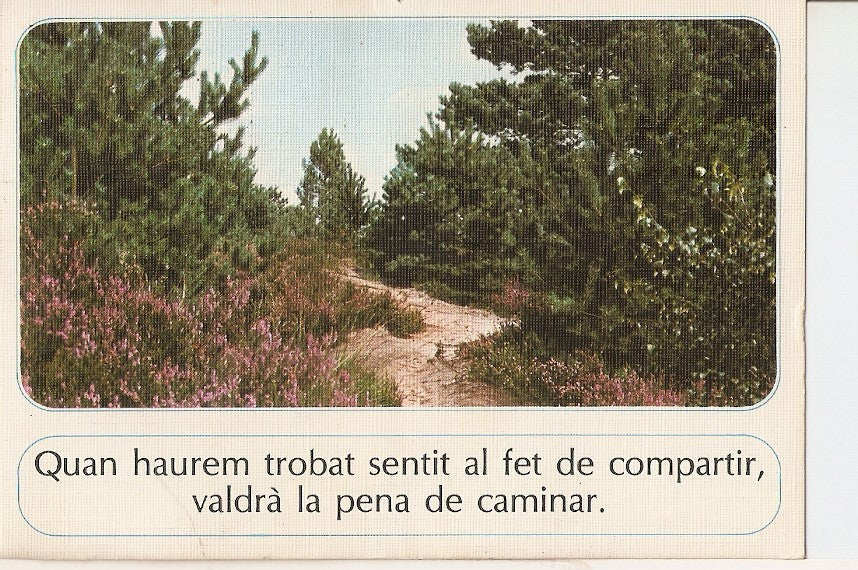 Postal 027660 : Sendero en el bosque