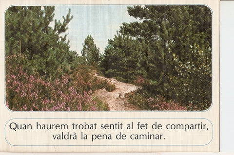 Postal 027660 : Sendero en el bosque