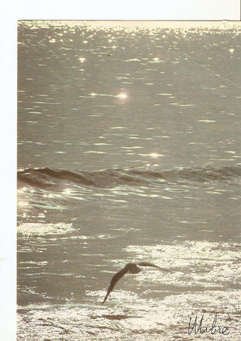 Postal 027683 : Costa. Wibre