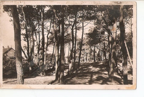 Postal 027745 : Brighton-Plage - La Forêt