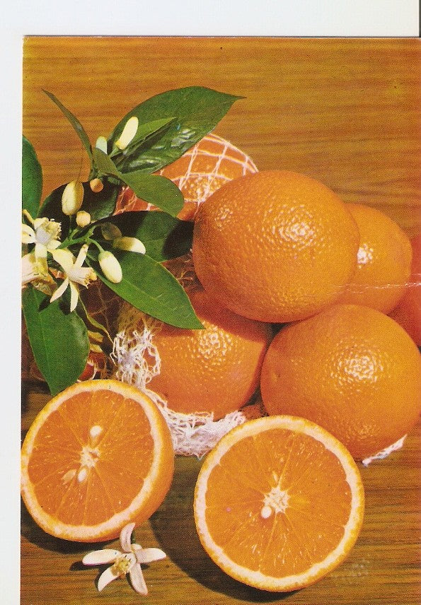 Postal 027778 : Desde España