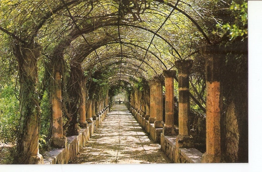 Postal 027815 : Alfabia - Mallorca. Pergola y Surtidor