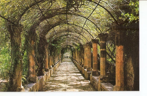 Postal 027815 : Alfabia - Mallorca. Pergola y Surtidor