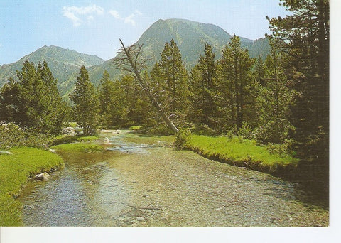 Postal 027919 : Parque Nacional de Aigues Tortes (Pirineo Catalan) Rio San Nicolau