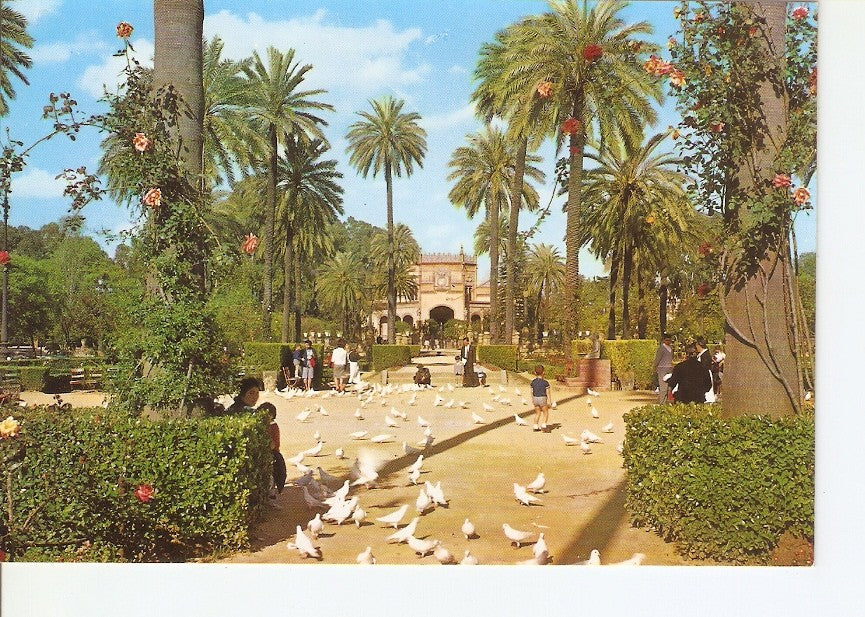 Postal 027971 : Sevilla, Parque de Maria Luisa