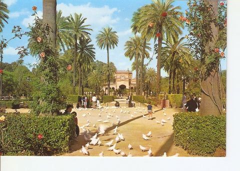 Postal 027971 : Sevilla, Parque de Maria Luisa