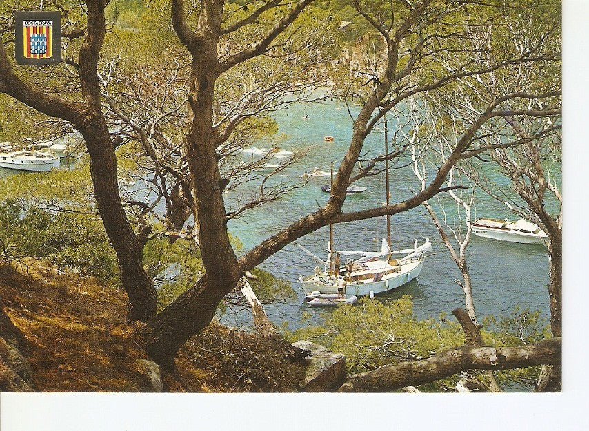 Postal 027997 : Costa Brava, detalle
