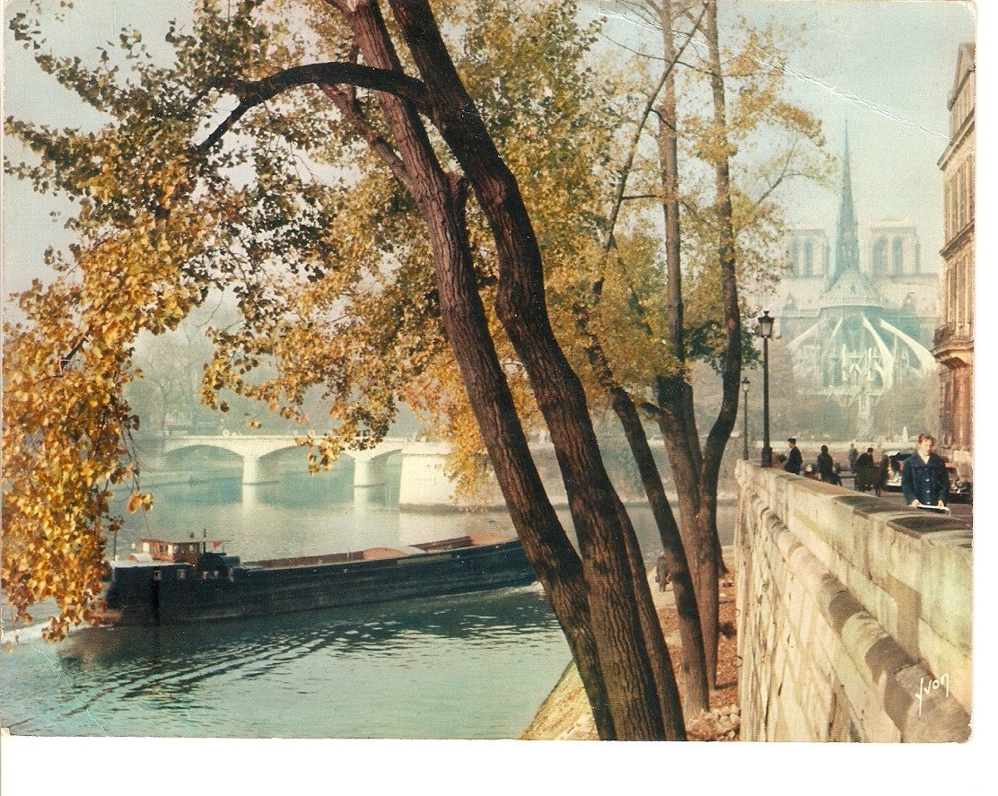 Postal 028050 : Notre-Dame, vue de Ille Saint-Louis, Couleurs et Lumiere de France