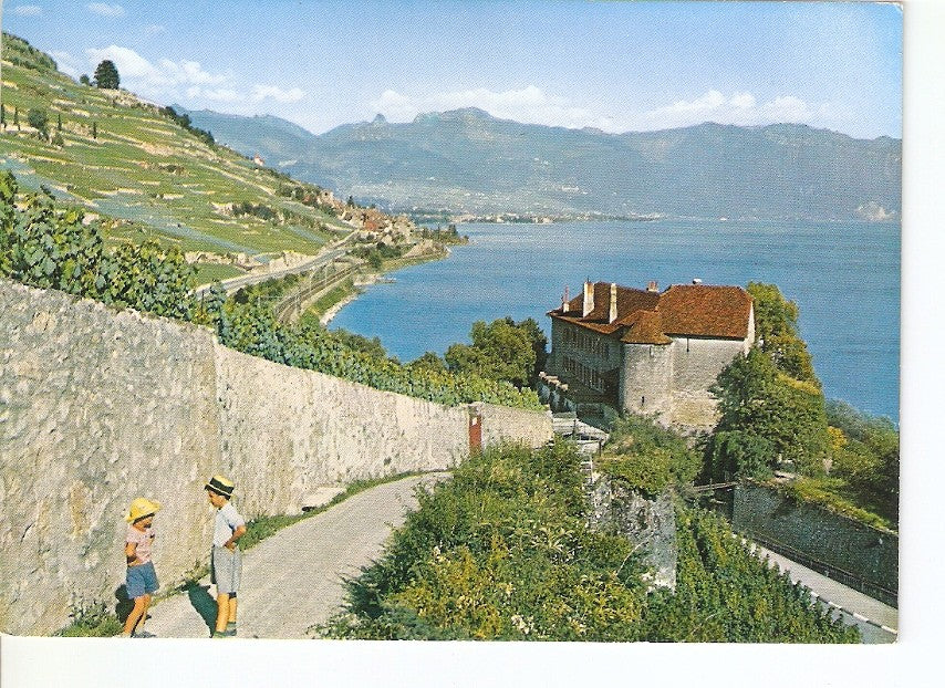 Postal 028059 : Le Lavaux (Lac Leman), le Château de Glerolles pres Rivaz