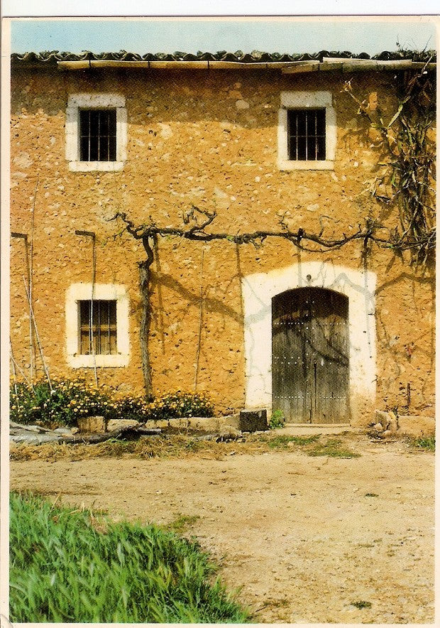 Postal 028145 : Mallorca. Mediterrània