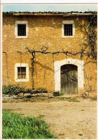 Postal 028145 : Mallorca. Mediterrània