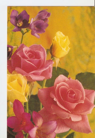 Postal 028191 : Flores