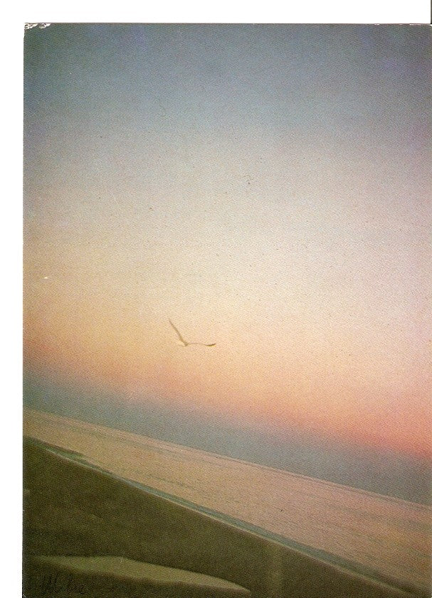 Postal 028214 : Playa  