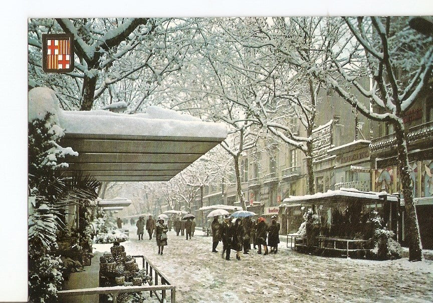 Postal 028299 : Barcelona. Nevava. Rambla de las Flores