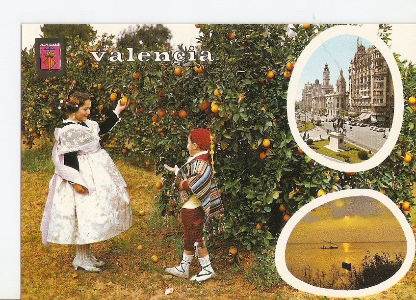 Postal 028460 : Valencia, Entre naranjos, Plaza del Caudillo, Albufera