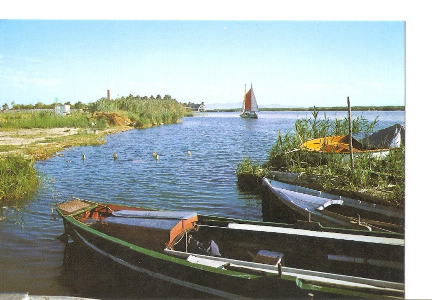 Postal 028608 : Valencia, canal de la Albufera