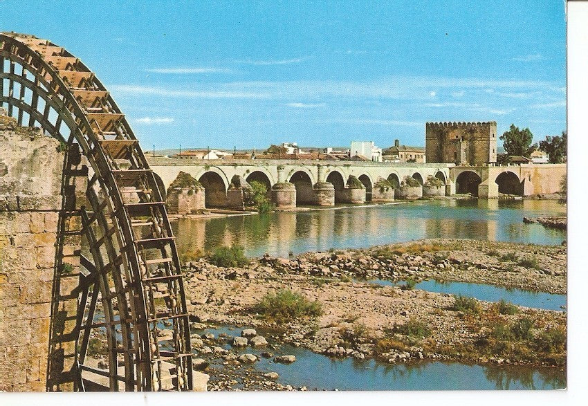 Postal 028624 : Puente Romano y Noria, Cordoba