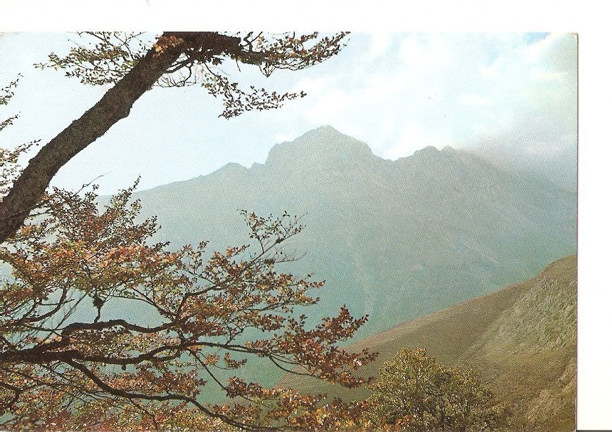 Postal 028635 : Pirineo Navarro. Isaba. Valle del Roncal, pico de la Corchela-Belagua