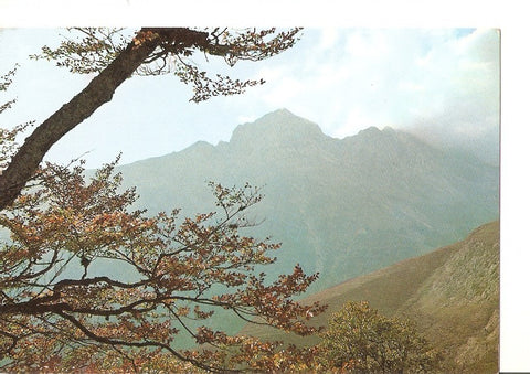Postal 028635 : Pirineo Navarro. Isaba. Valle del Roncal, pico de la Corchela-Belagua