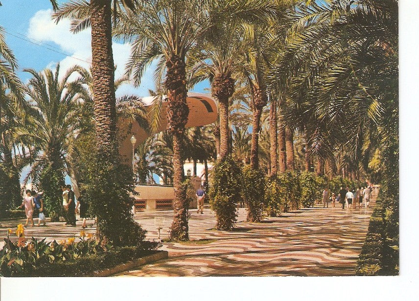 Postal 028646 : Alicante - Explanada de España