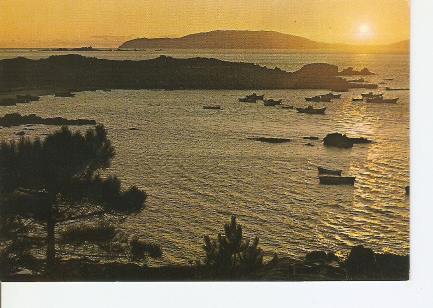 Postal 028658 : Finisterre (La Coruña). Puesta del sol