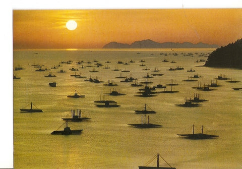 Postal 028669 : Galicia. Puesta del Sol