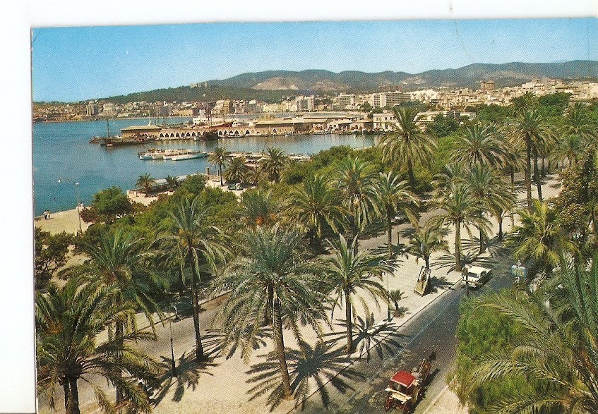 Postal 028774 : Mallorca (Baleares) España. Paseo de Sagrera y vista parcial - Palma