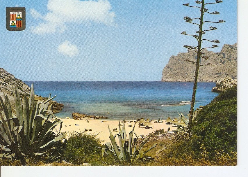 Postal 028834 : Mallorca, Cala San Vicente
