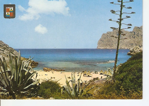 Postal 028834 : Mallorca, Cala San Vicente