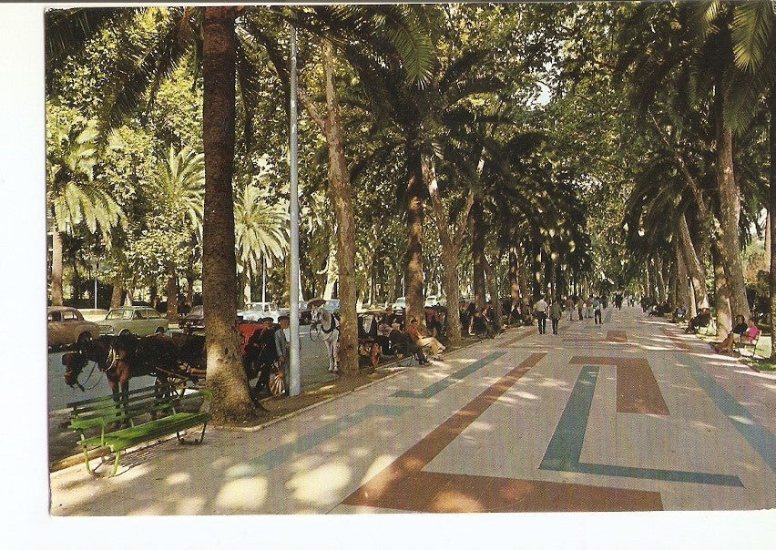 Postal 028868 : Paseo del Parque, Malaga