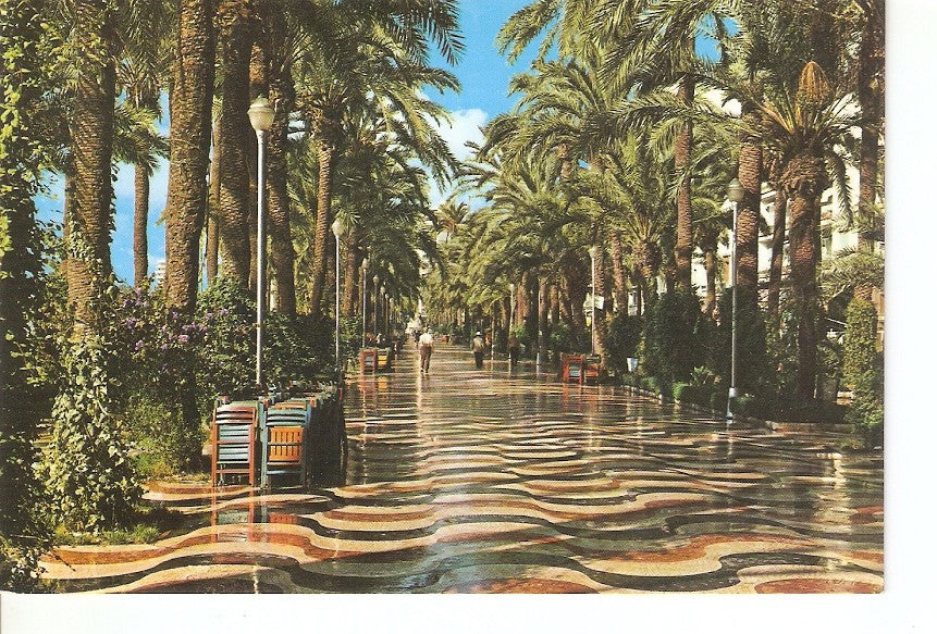 Postal 028873 : Alicante - Explanada de España
