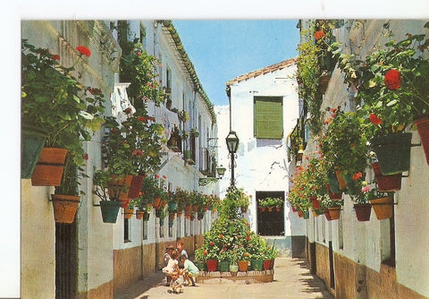 Postal 028878 : Costa del Sol, Calle tipica