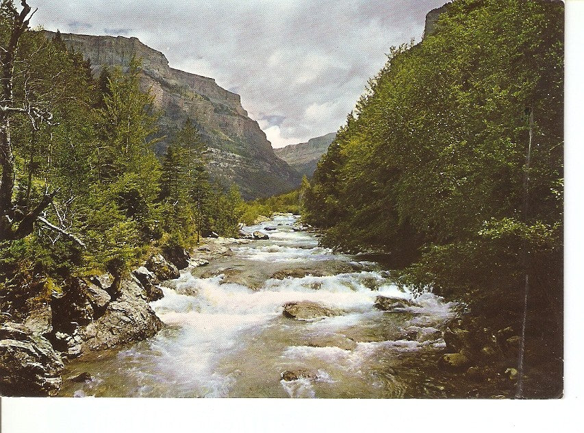 Postal 028879 : Parque Nacional de Ordesa (Pirineo Aragones), rio Arazas desde el puente de Briet