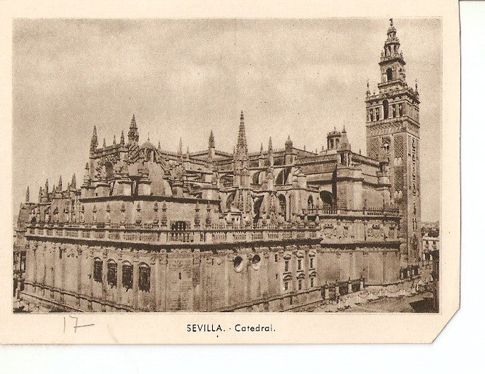 Postal 028954 : Sevilla. Catedral