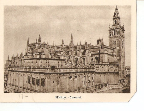 Postal 028954 : Sevilla. Catedral