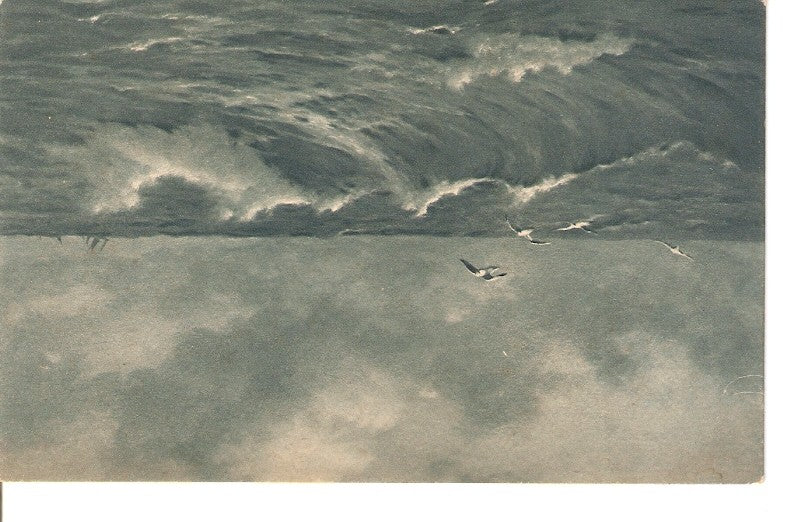 Postal 028976 : Pintura mar