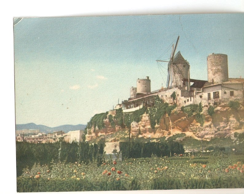 Postal 029060 : Antiguos molinos tipicos, Palma