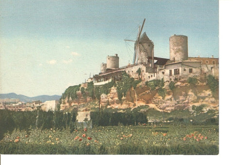 Postal 029061 : Antiguos molinos tipicos, Palma