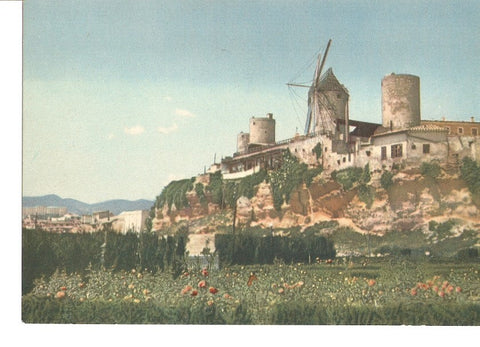 Postal 029062 : Antiguos molinos tipicos, Palma