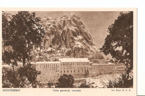 Postal 029068 : Montserrat, Vista general, nevada