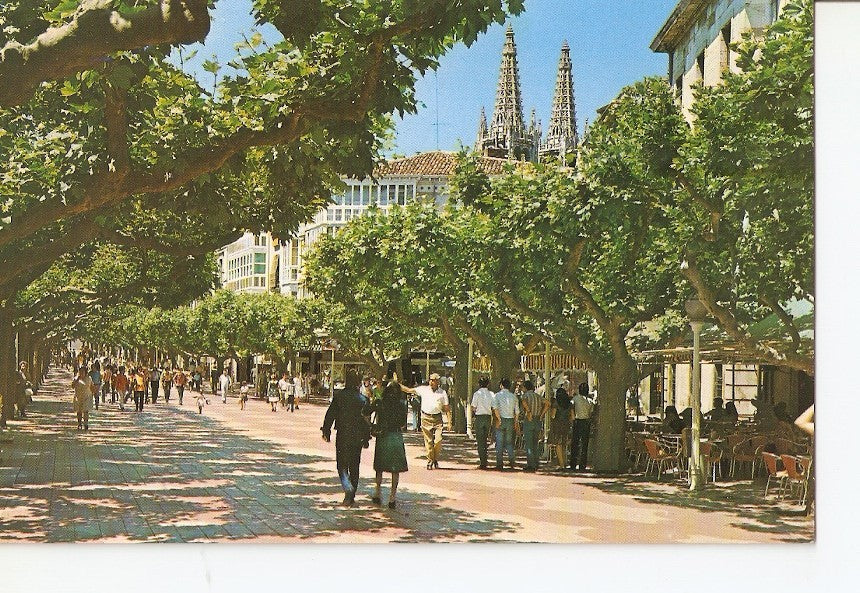 Postal 029087 : Burgos. El Espolon